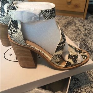 Steve Madden Collins BlockHeel Sandals Snake